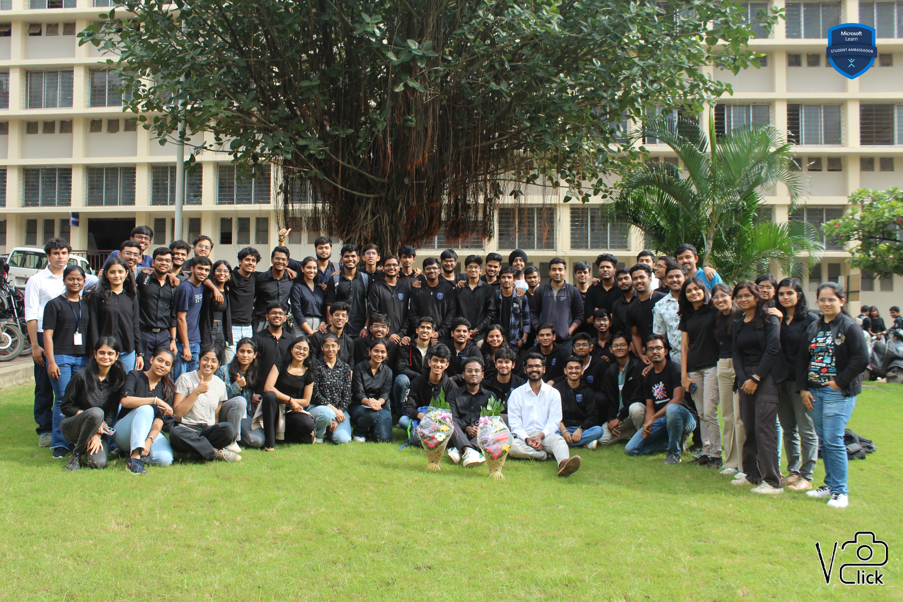 About Image 7
